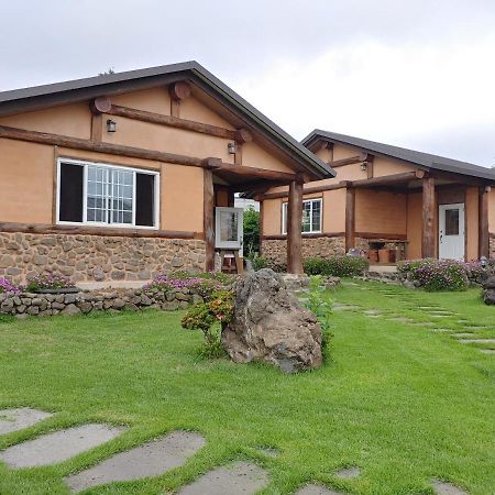 Geumok Log Pension Seogwipo-stad Buitenkant foto